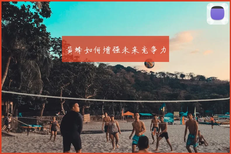 黄蜂如何增强未来竞争力