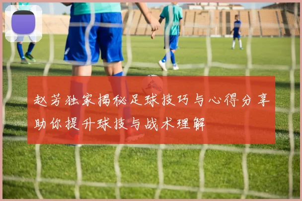 赵芳独家揭秘足球技巧与心得分享助你提升球技与战术理解