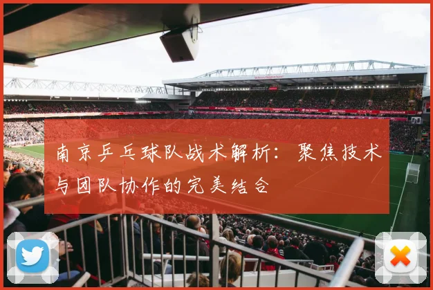 南京乒乓球队战术解析：聚焦技术与团队协作的完美结合
