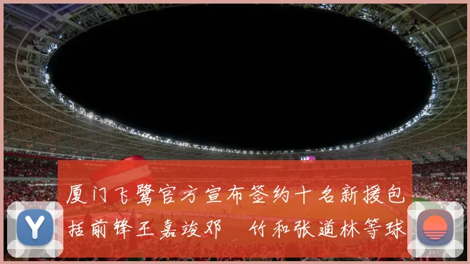 厦门飞鹭官方宣布签约十名新援包括前锋王嘉竣邓棽竹和张道林等球员