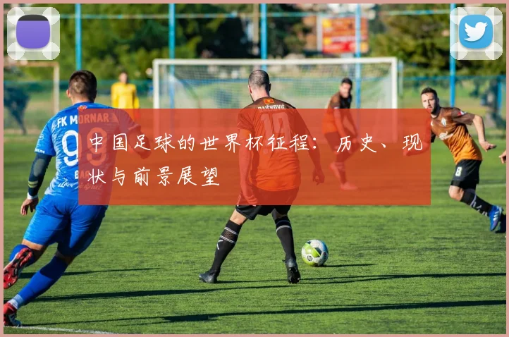 中国足球的世界杯征程：历史、现状与前景展望