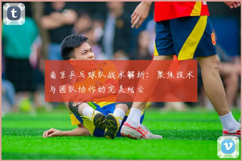 南京乒乓球队战术解析:聚焦技术与团队协作的完美结合