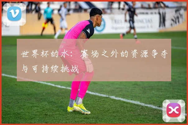 世界杯的水：赛场之外的资源争夺与可持续挑战
