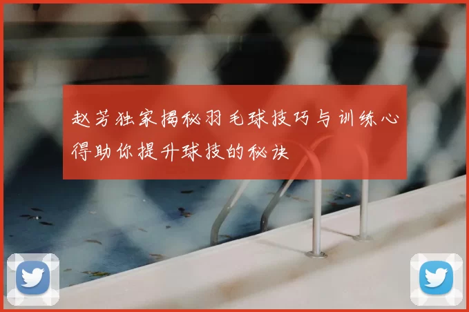 赵芳独家揭秘羽毛球技巧与训练心得助你提升球技的秘诀