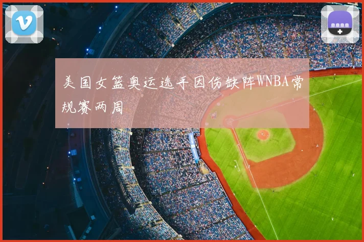 美国女篮奥运选手因伤缺阵WNBA常规赛两周