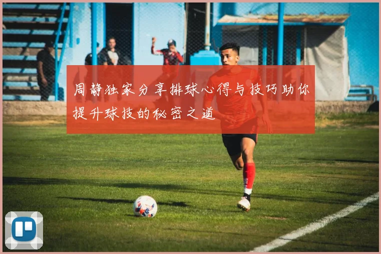 周静独家分享排球心得与技巧助你提升球技的秘密之道