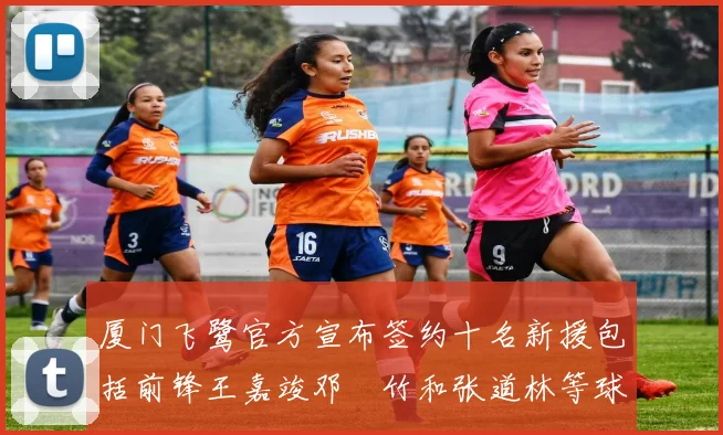 厦门飞鹭官方宣布签约十名新援包括前锋王嘉竣邓棽竹和张道林等球员