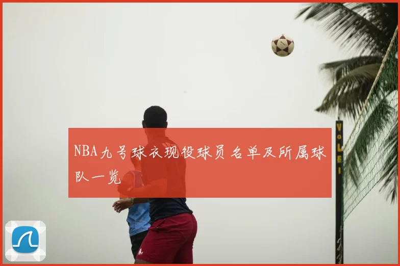 NBA九号球衣现役球员名单及所属球队一览